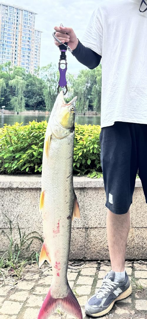 巫山路亚(巫山网红公路)