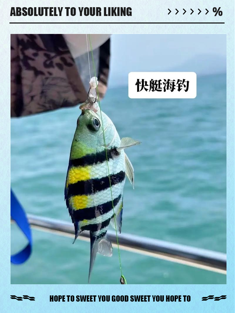 哪个岛海钓好(海钓岛屿)