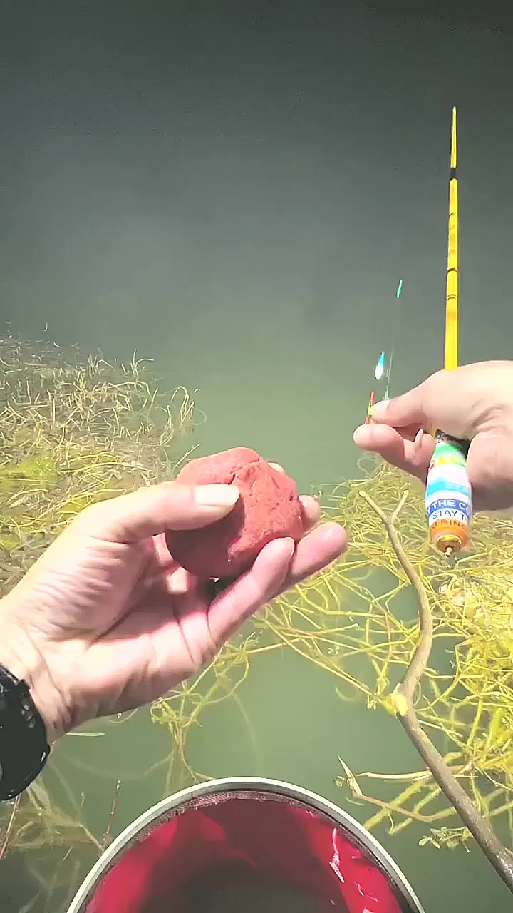 冬季野钓夜钓鲫鱼技巧(冬天夜钓怎么钓鲫鱼)