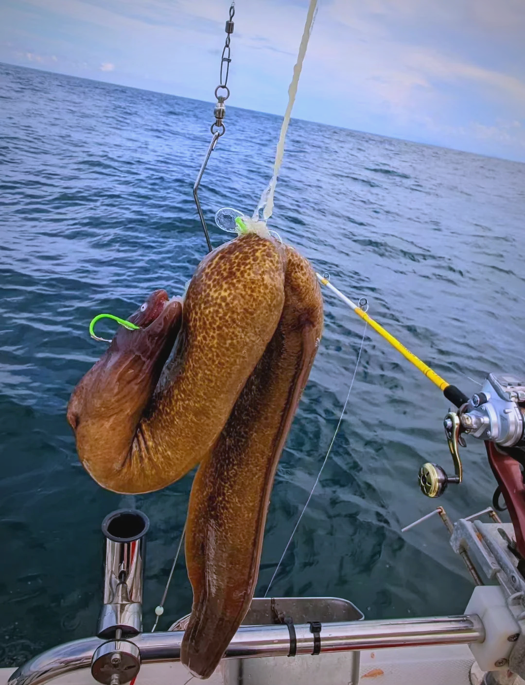 文笔海钓鱼(海捕海钓类小说)