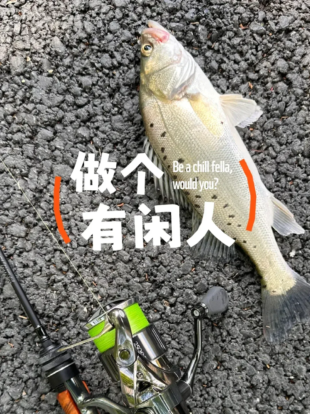 路亚鲈鱼标点(路亚鲈鱼标点怎么找) 路亚鲈鱼标点(路亚鲈鱼标点怎么找)