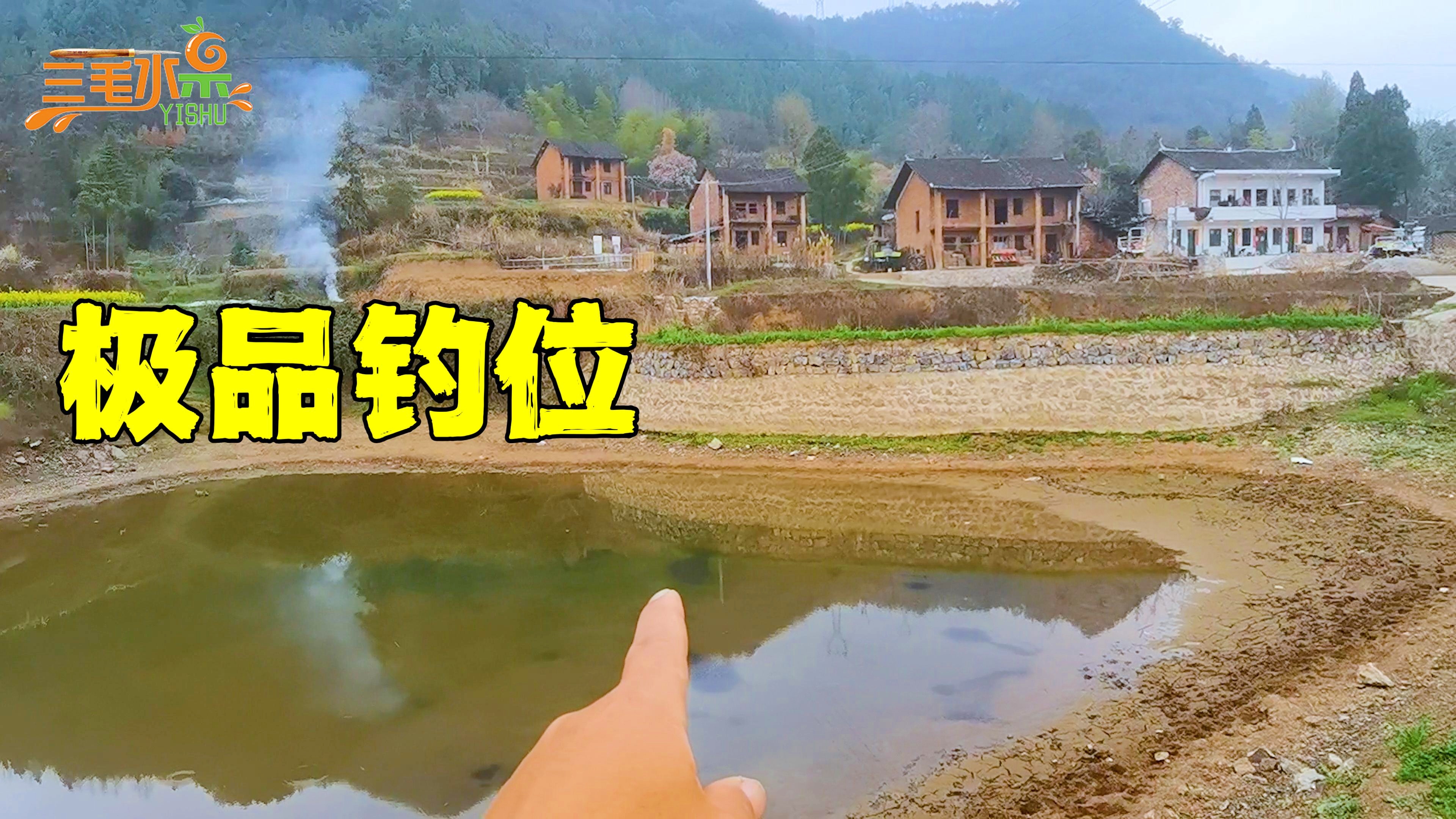 鱼塘钓鱼位置选择技巧(鱼塘钓鱼选择什么位置最好)