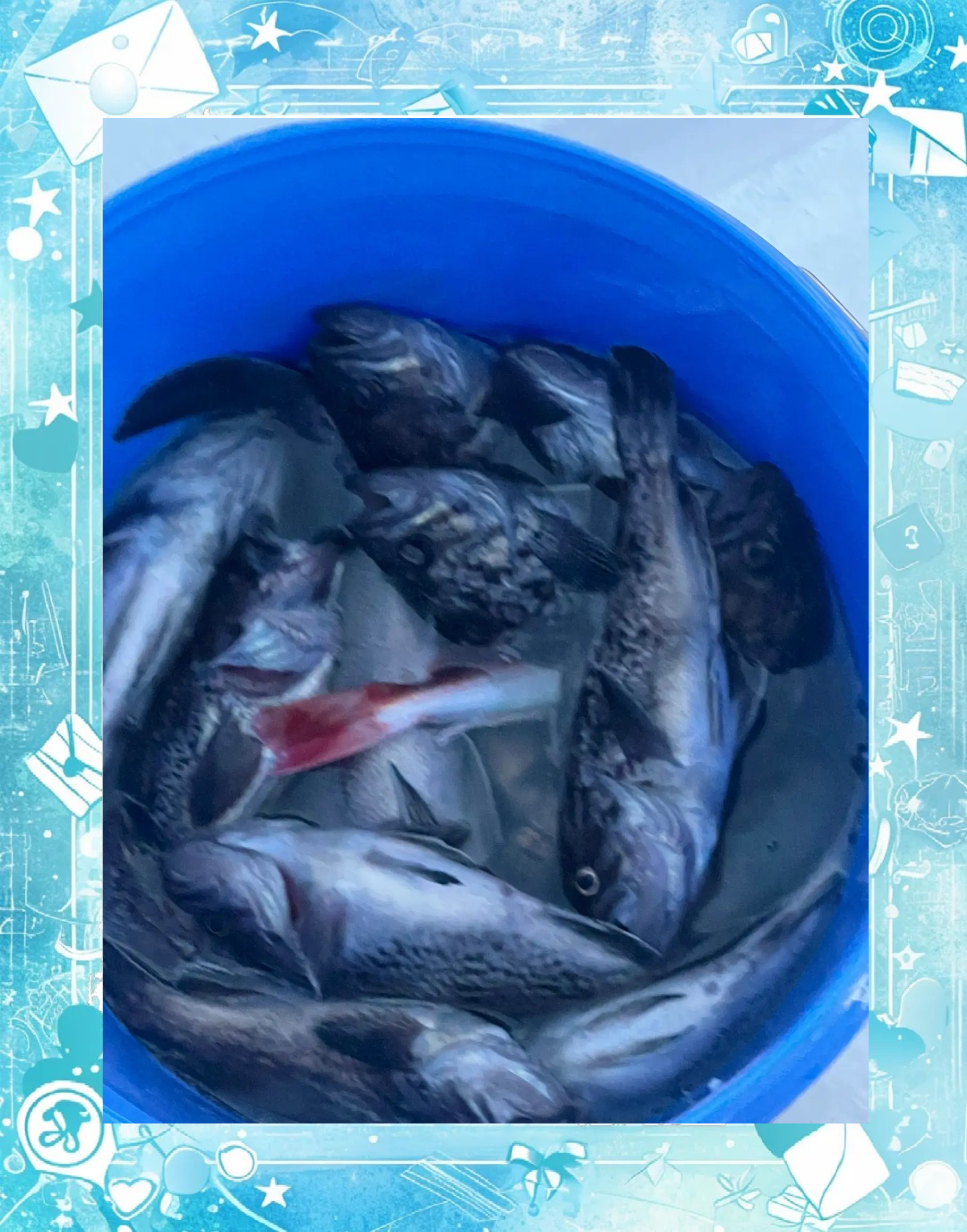 大连海钓什么潮流好(大连海钓的地方推荐)