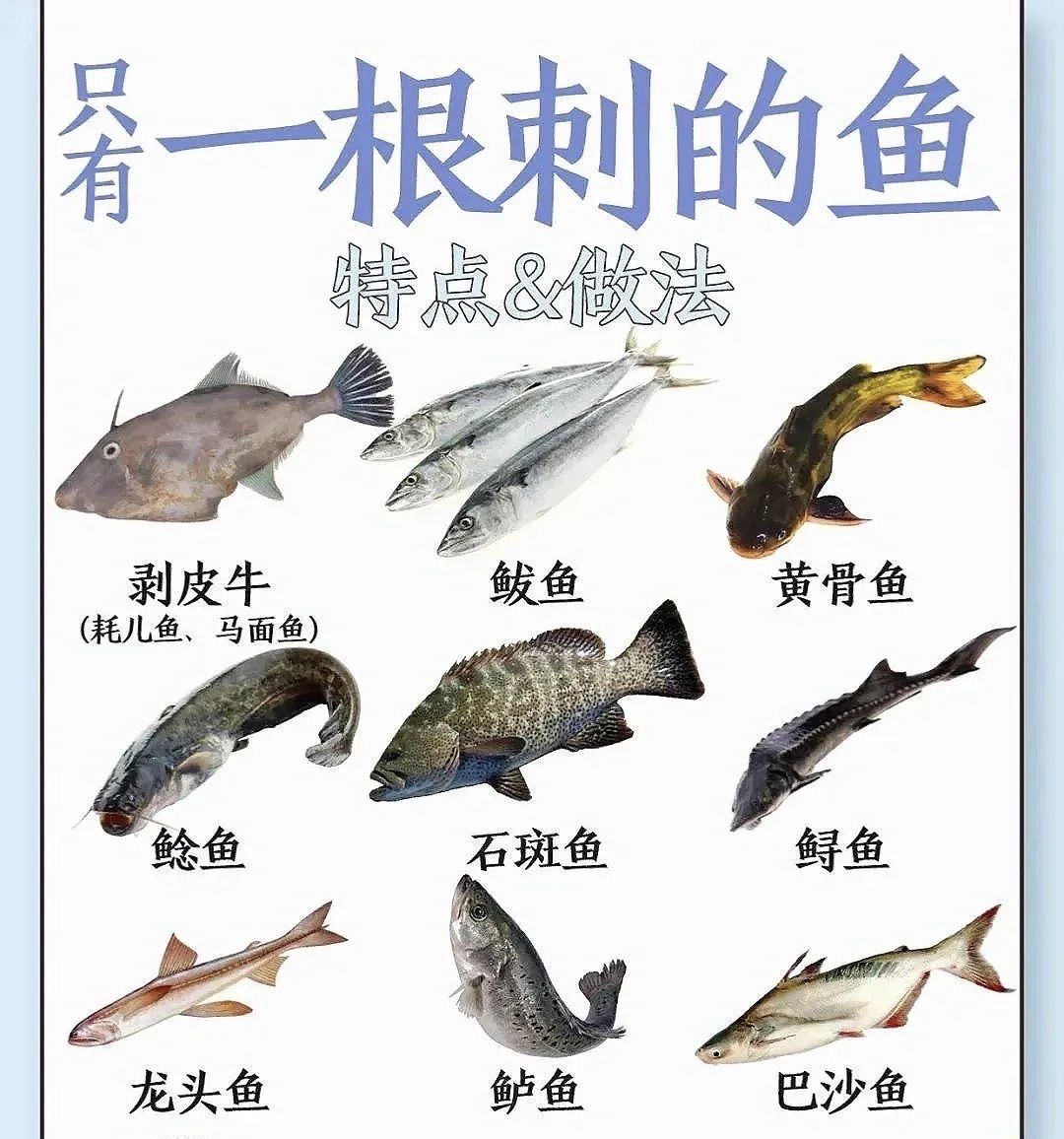 无倒刺取鱼技巧(无倒刺鱼钩叫什么鱼钩)