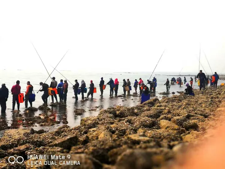 玉环南排海钓点(玉环野钓地方)
