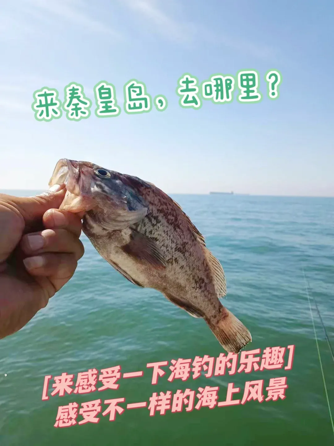 秦皇岛海钓联盟(秦皇岛海钓联盟官网)