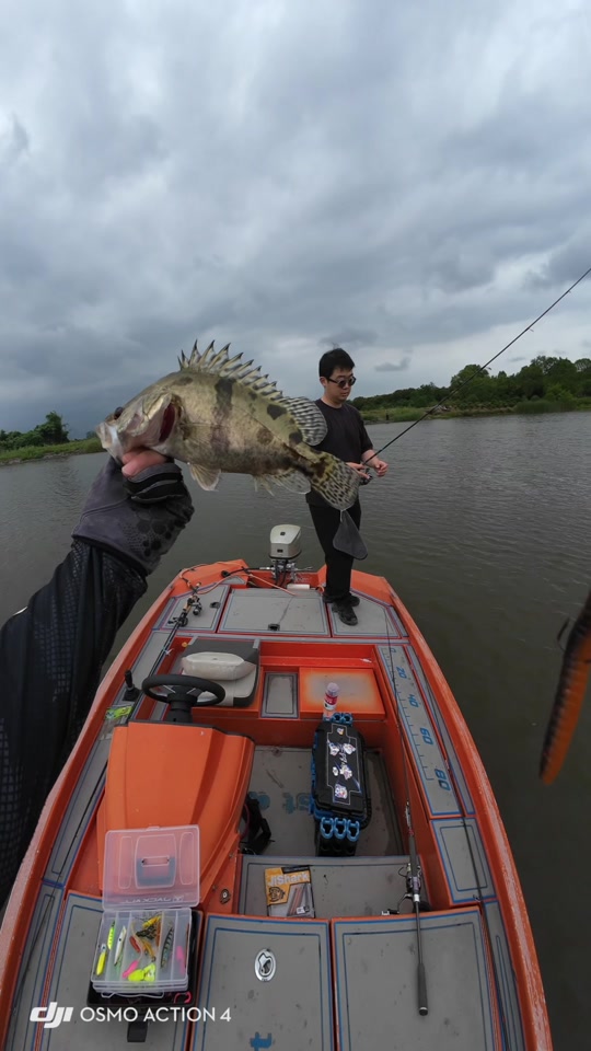 路亚bass(路亚绑钩教程视频)