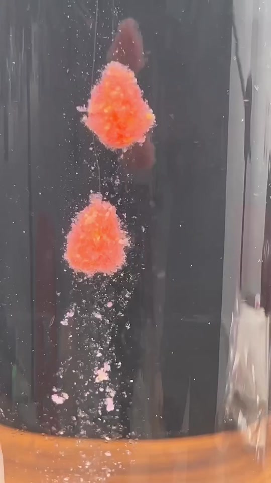 深秋黑坑钓鲤鱼饵料(深秋黑坑钓鲤鱼钓深还是钓浅) 深秋黑坑钓鲤鱼饵料(深秋黑坑钓鲤鱼钓深还是钓浅)