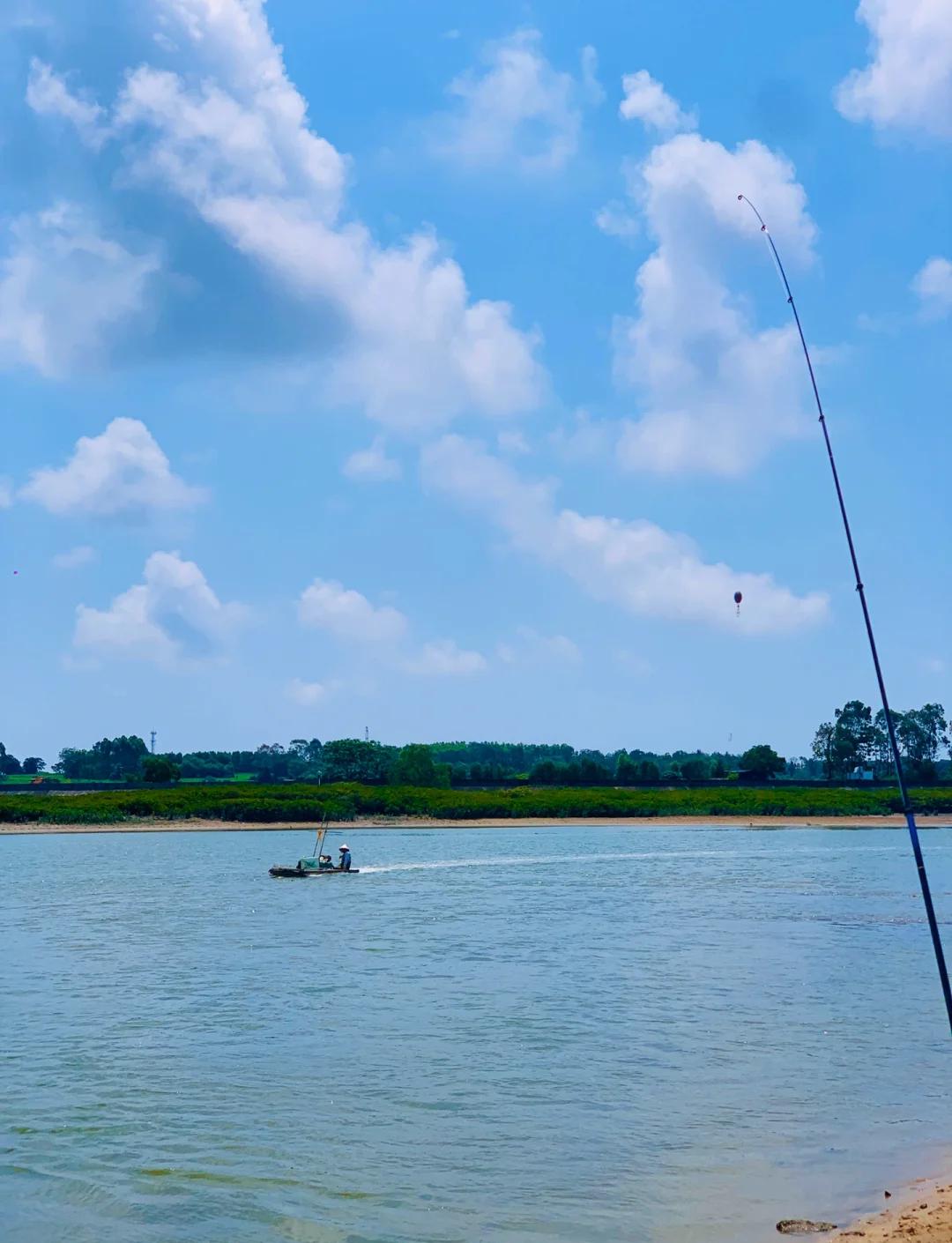 11月北海海钓(北海海钓一般都去哪里)