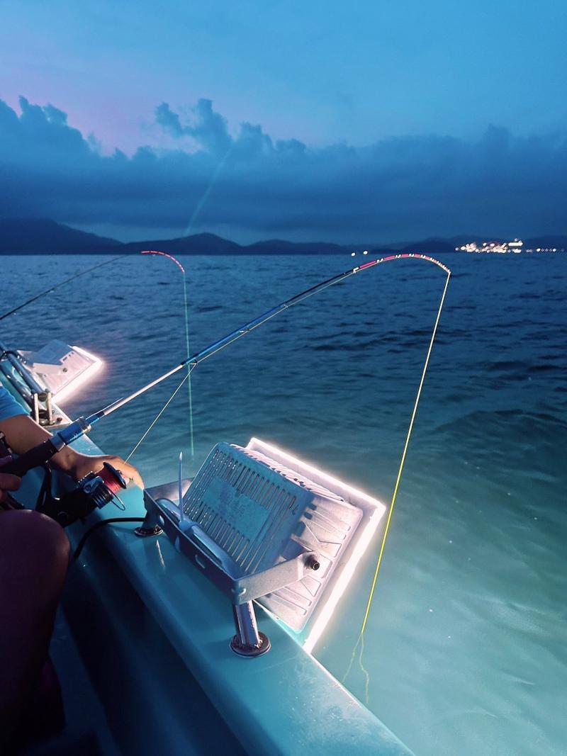 11月北海海钓(北海海钓一般都去哪里)