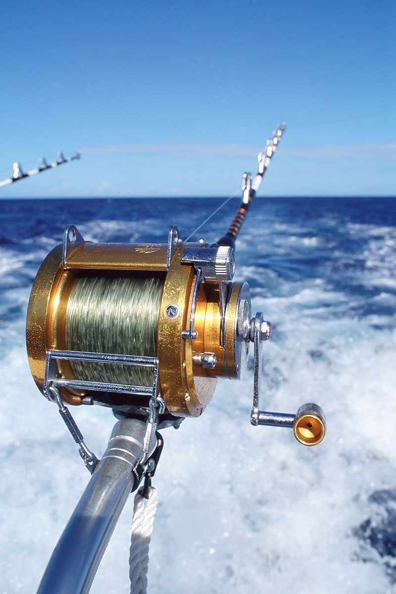 现在在海钓鱼用什么(去海钓鱼用什么鱼钩)