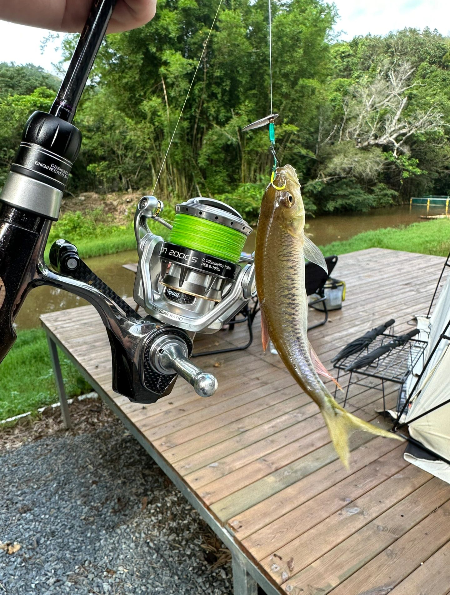 路亚白条软硬(路亚白条用什么线比较好) 路亚白条软硬(路亚白条用什么线比较好)