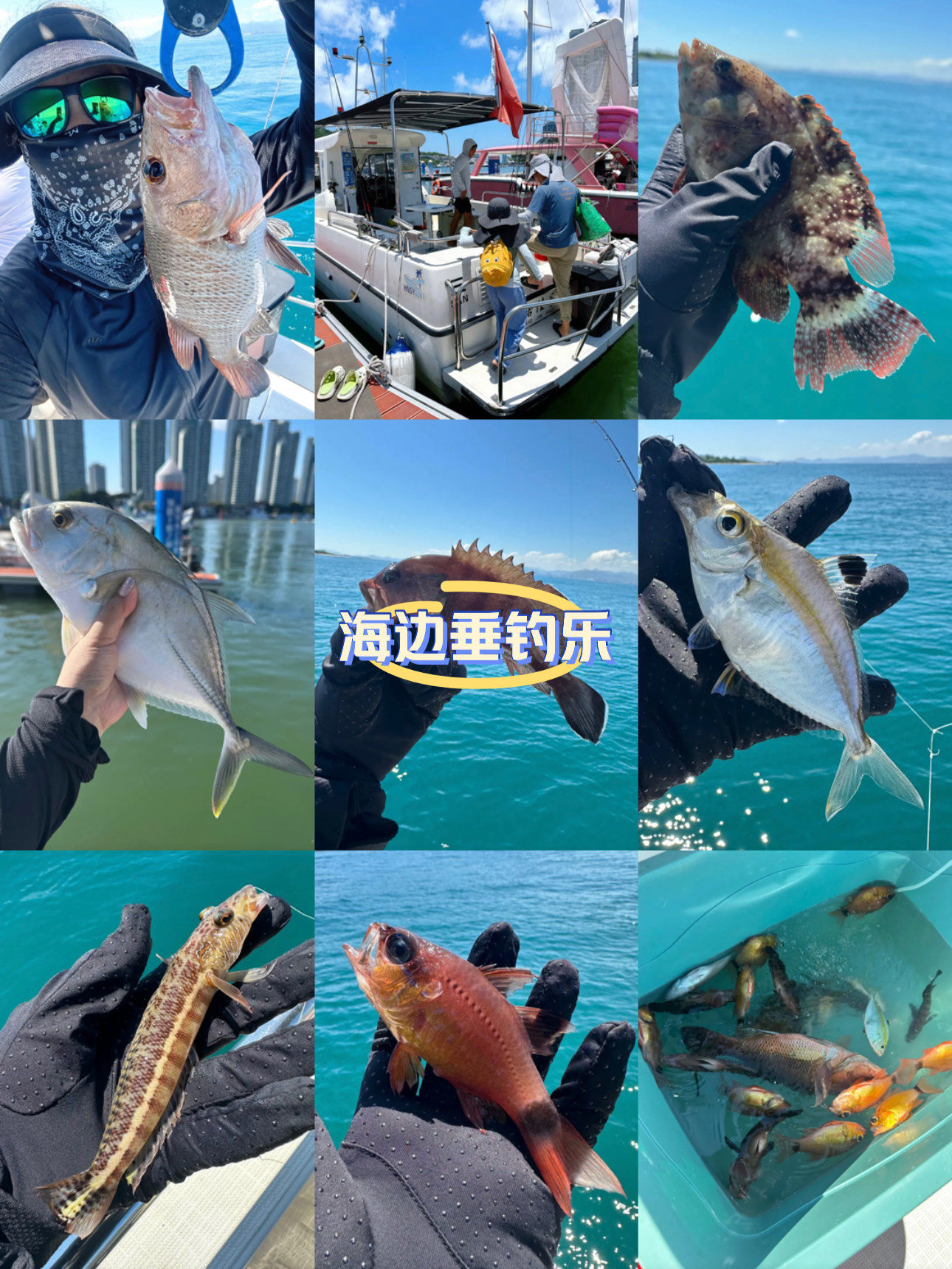 龙口海钓技巧(龙口海钓可以钓什么鱼) 龙口海钓技巧(龙口海钓可以钓什么鱼)