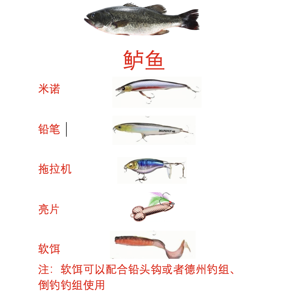 路亚能不能钓鲢鱼(路亚可以钓鲢鳙吗?) 路亚能不能钓鲢鱼(路亚可以钓鲢鳙吗?)