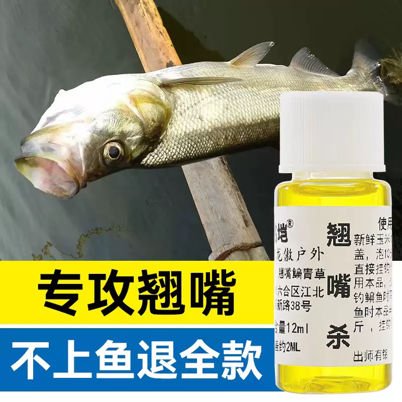 专攻鳊鱼的饵料(鲮鱼用什么饵料最好钓)