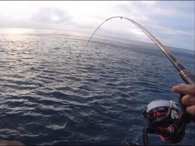 台湾海钓哪种鱼最大(台湾海峡钓鱼多少钱一趟) 台湾海钓哪种鱼最大(台湾海峡钓鱼多少钱一趟)
