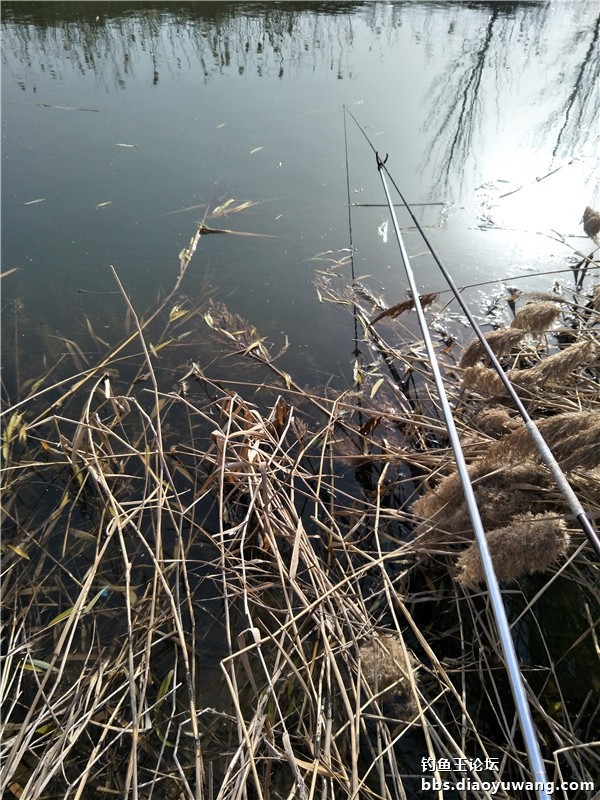 锦州渔具店位置(锦州渔场)