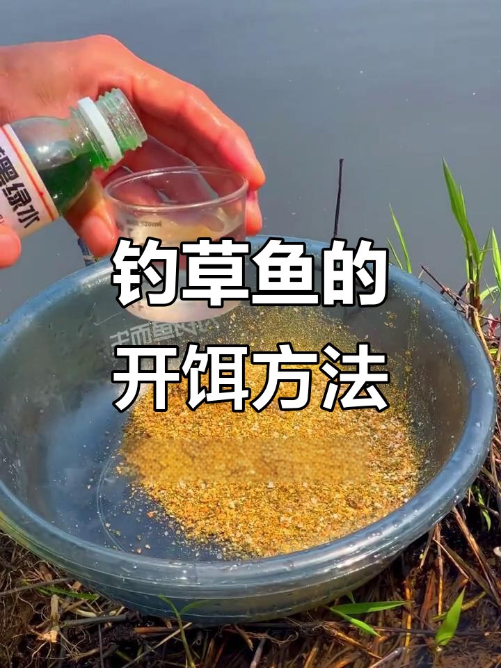 野钓草鱼用饵技巧(野钓草鱼用饵技巧和方法) 野钓草鱼用饵技巧(野钓草鱼用饵技巧和方法)