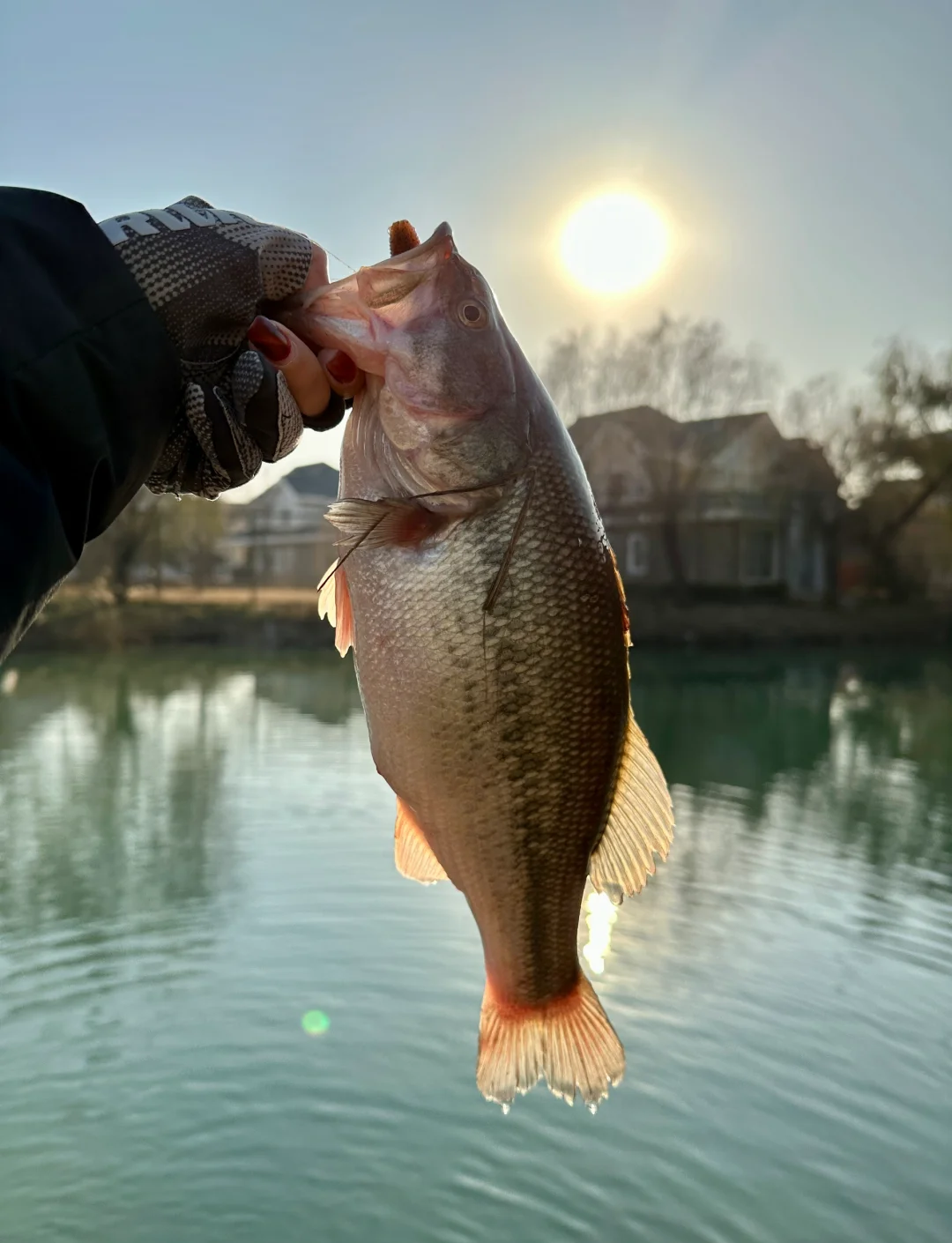 忠县钓路亚(忠县籍最大的官员) 忠县钓路亚(忠县籍最大的官员)