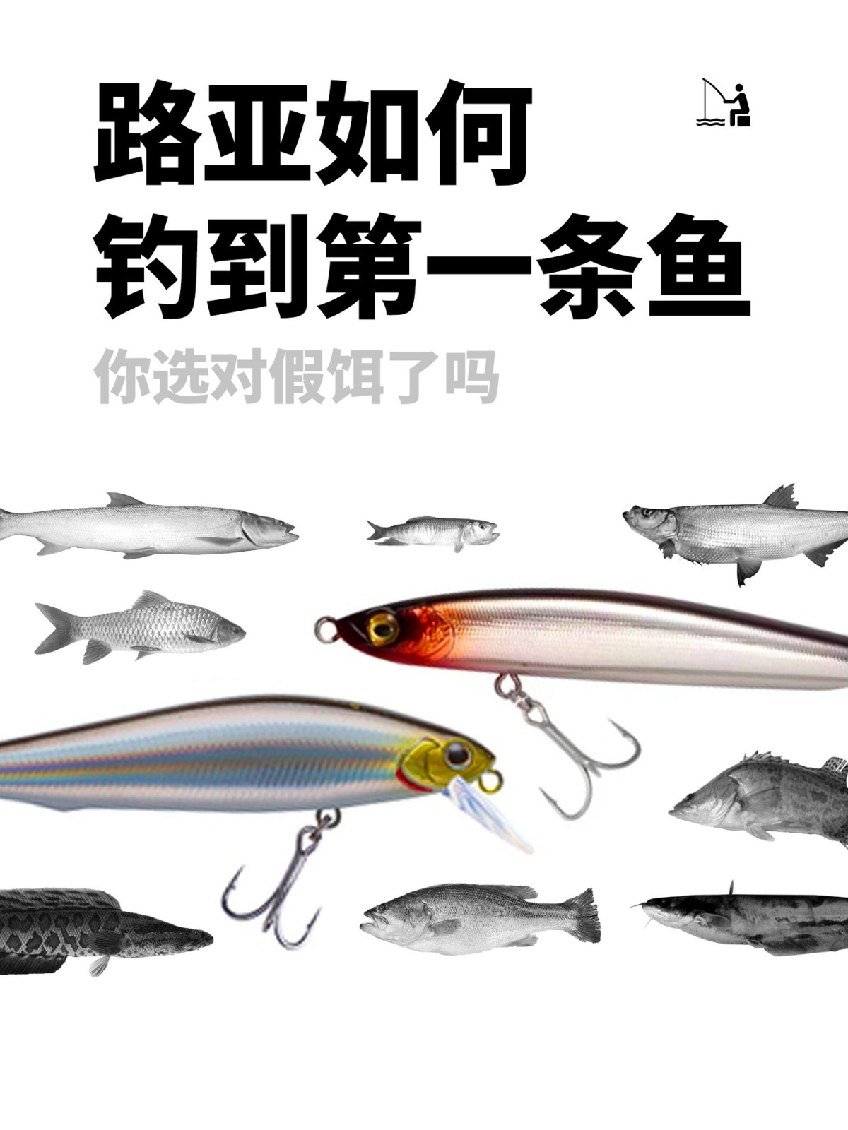 重嘴鱼饵料搭配(钓重唇鱼技巧) 重嘴鱼饵料搭配(钓重唇鱼技巧)