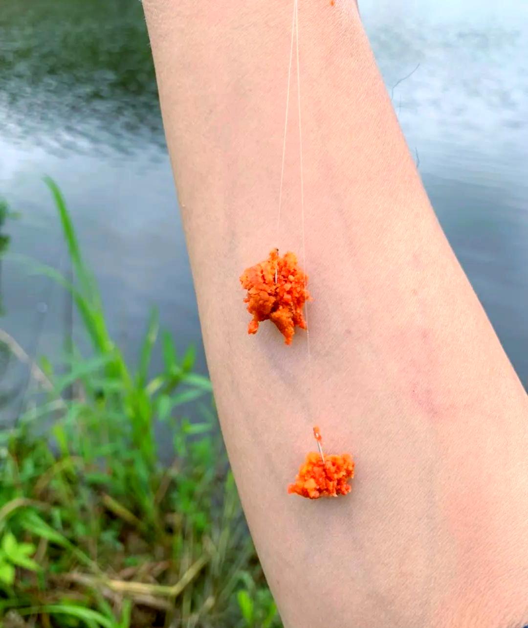 饵料高手(饵料配方视频) 饵料高手(饵料配方视频)