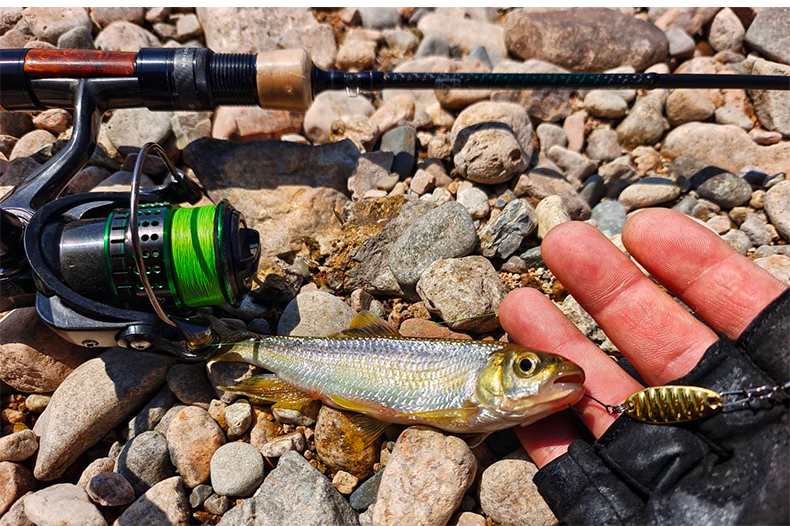 fishing路亚(路亚xh) fishing路亚(路亚xh)