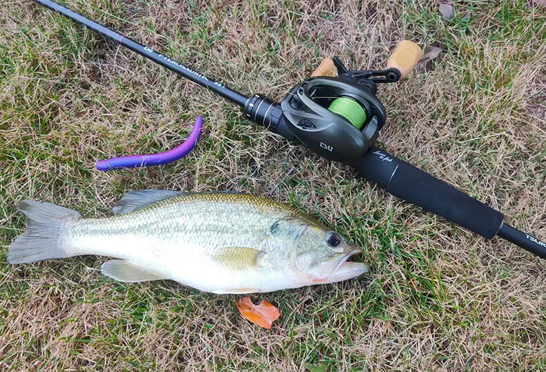 fishing路亚(路亚xh) fishing路亚(路亚xh)