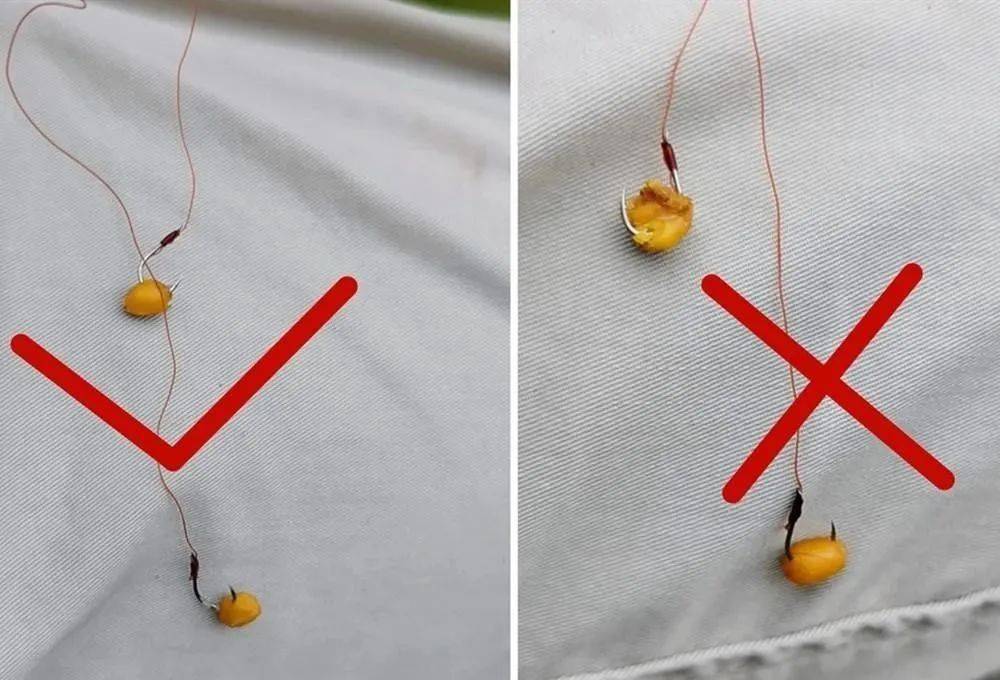 颗粒饵料如何挂勾(钓鱼颗粒料怎么挂钩) 颗粒饵料如何挂勾(钓鱼颗粒料怎么挂钩)