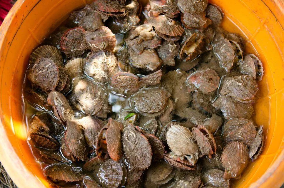 惠州星星海钓俱乐部(惠州星星海钓俱乐部电话) 惠州星星海钓俱乐部(惠州星星海钓俱乐部电话)