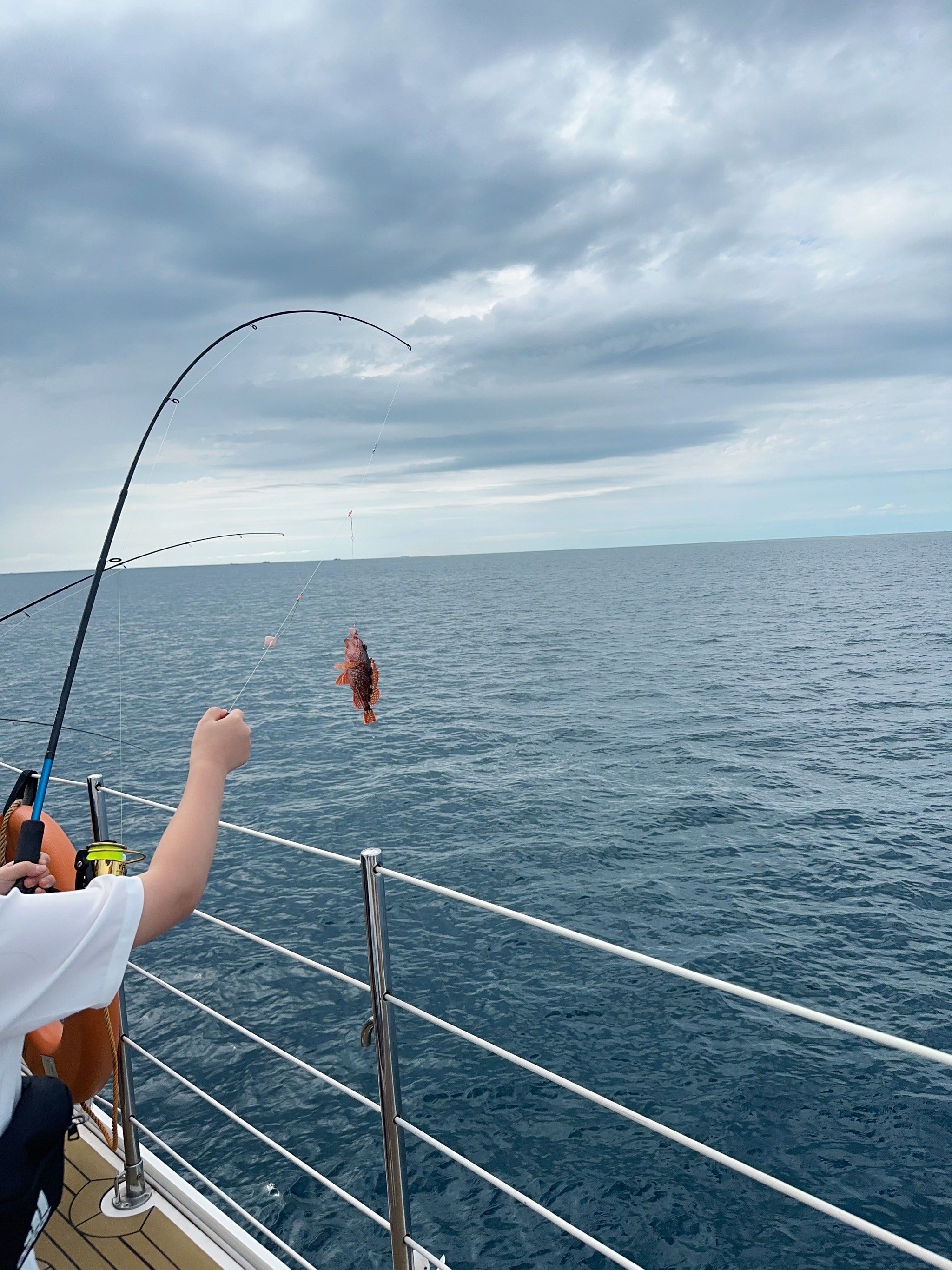 海钓美国(美国海钓鱼竿品牌排行榜) 海钓美国(美国海钓鱼竿品牌排行榜)