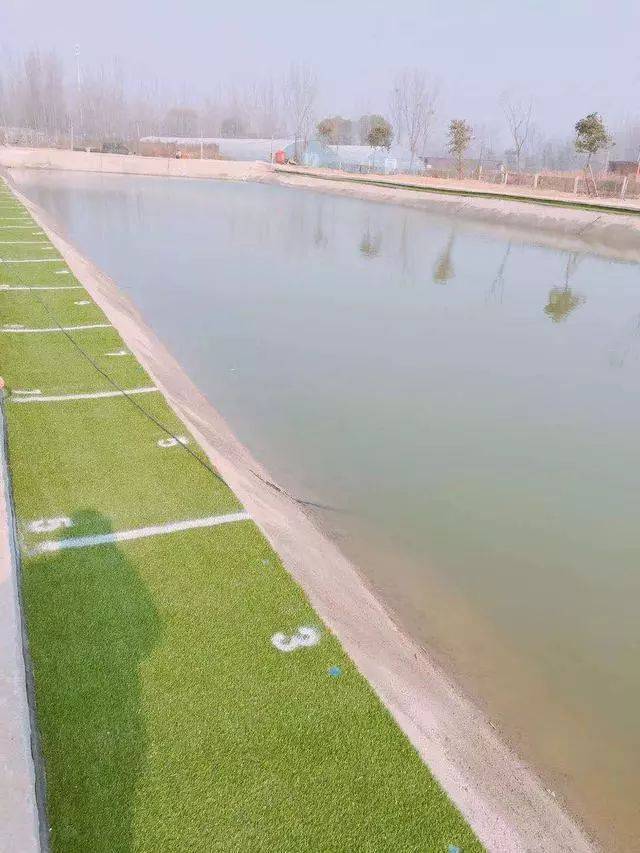 黑坑建造技巧(黑坑鱼塘的建造图)