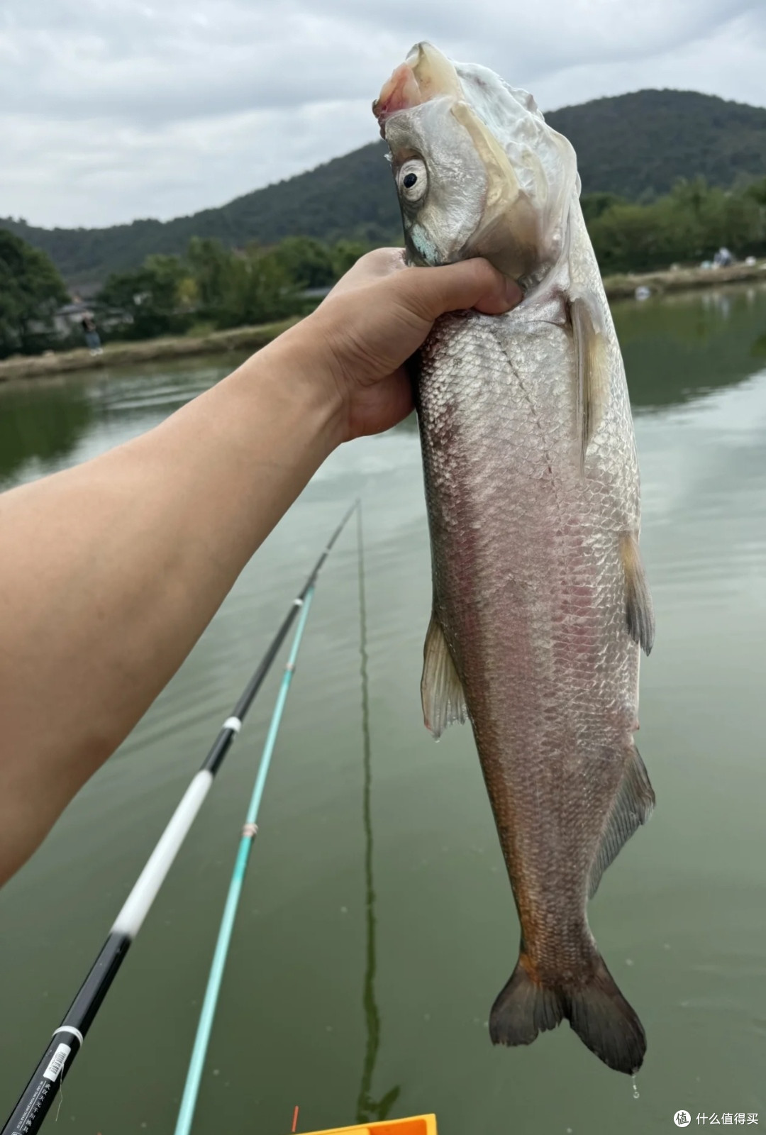 乐爱渔具鱼竿(爱乐鱼粮好吗) 乐爱渔具鱼竿(爱乐鱼粮好吗)