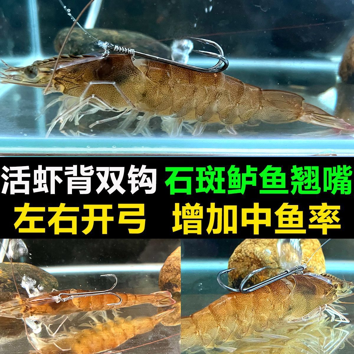 海钓活虾怎么挂(海钓活虾怎么挂蚯蚓) 海钓活虾怎么挂(海钓活虾怎么挂蚯蚓)
