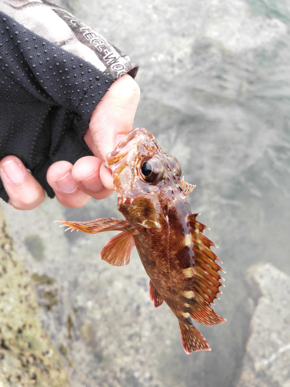 路亚海滩(路亚海边岸钓) 路亚海滩(路亚海边岸钓)