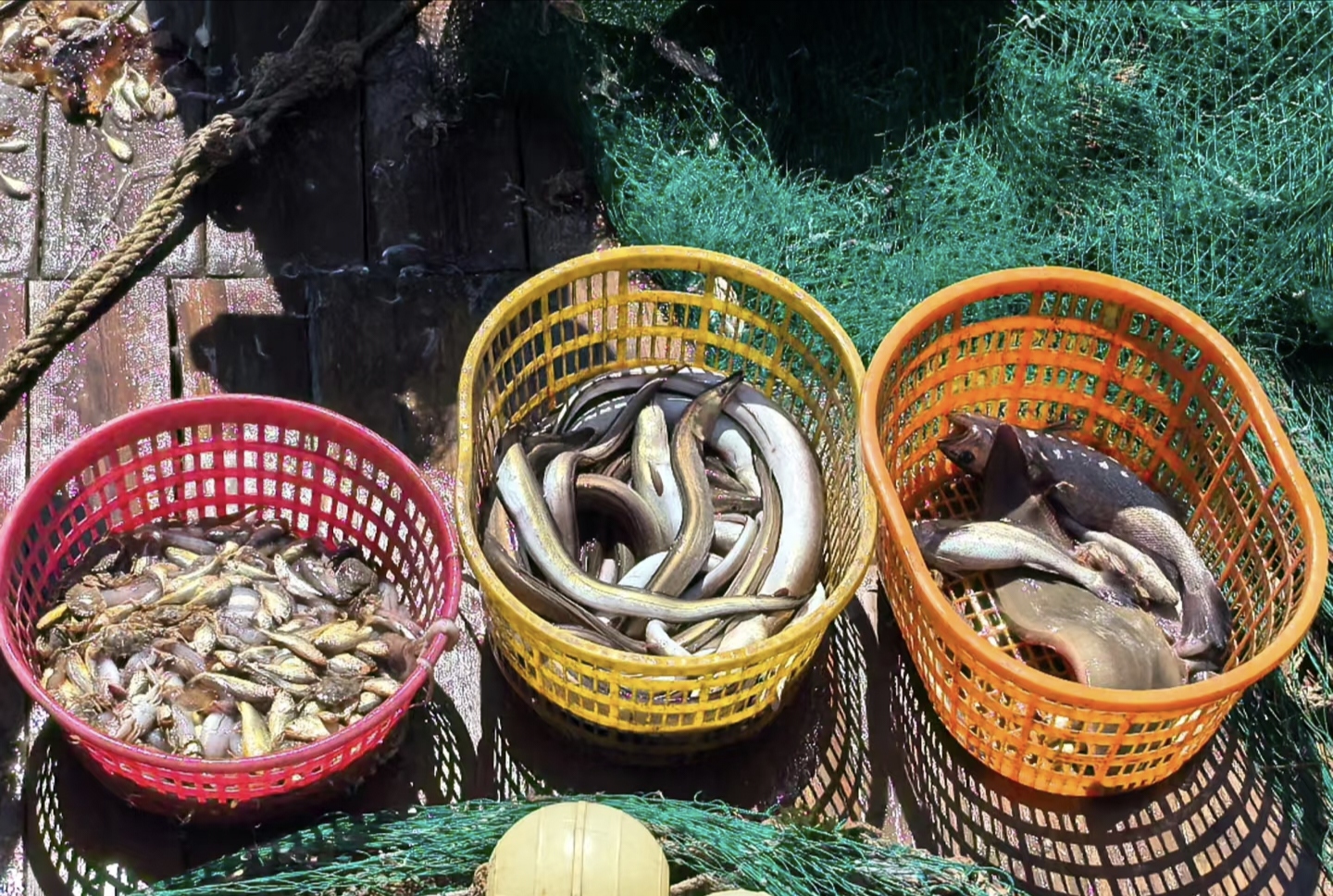 疯狂买渔具(疯狂渔具店)