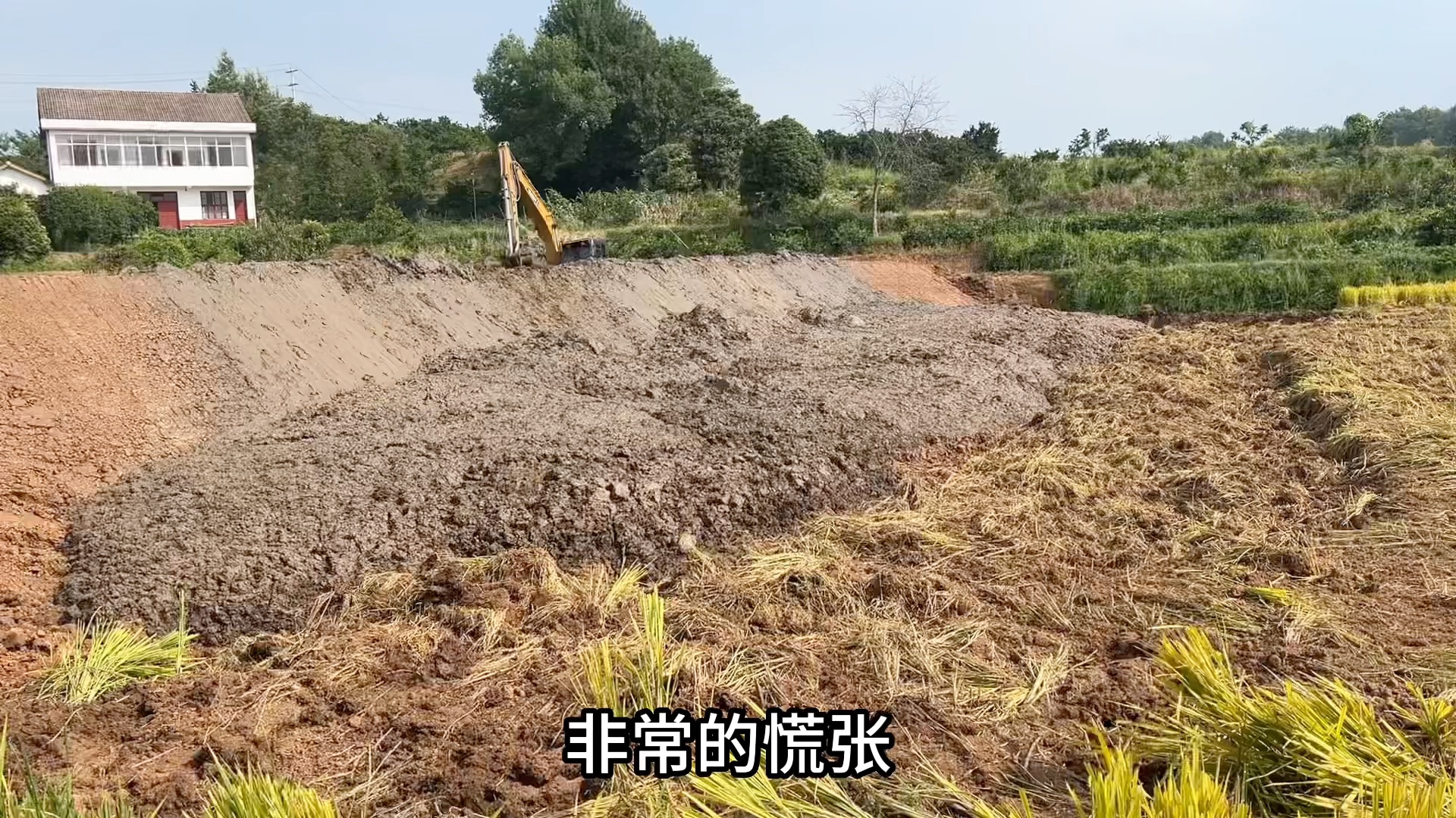 鱼塘配对技巧视频(鱼塘怎么配鱼)