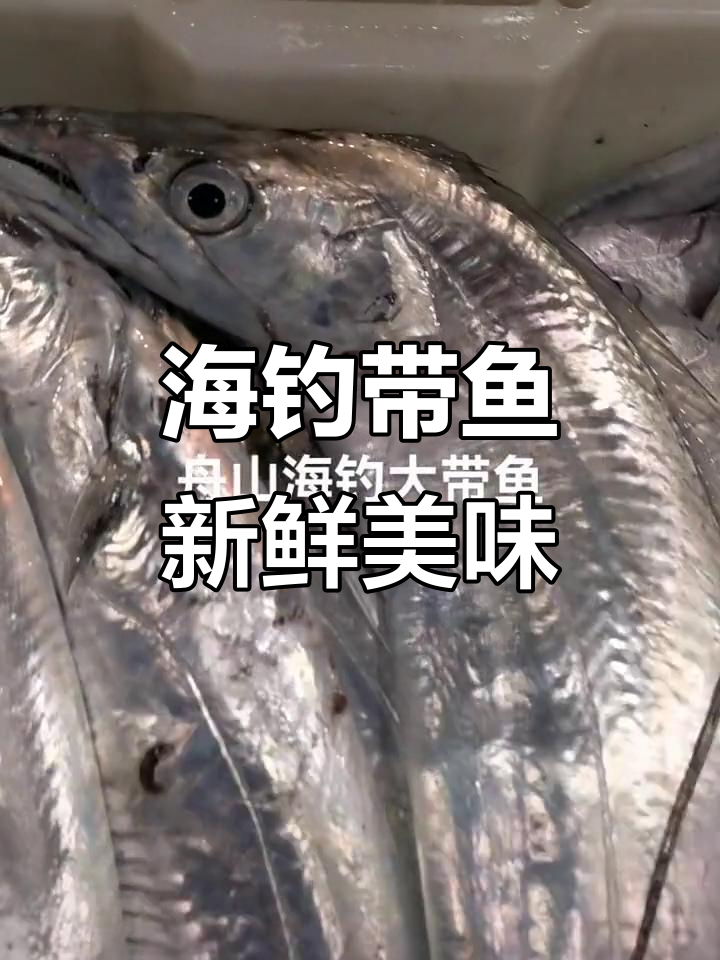浙江海钓带鱼项目(浙江海钓哪里比较好免费) 浙江海钓带鱼项目(浙江海钓哪里比较好免费)