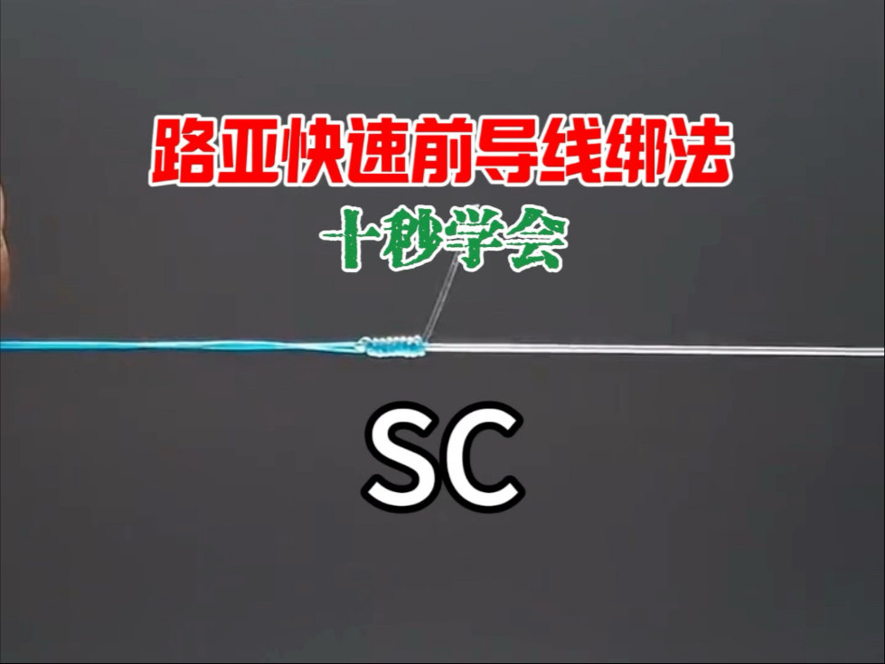 路亚线的绑法(路亚怎么绑线组视频)