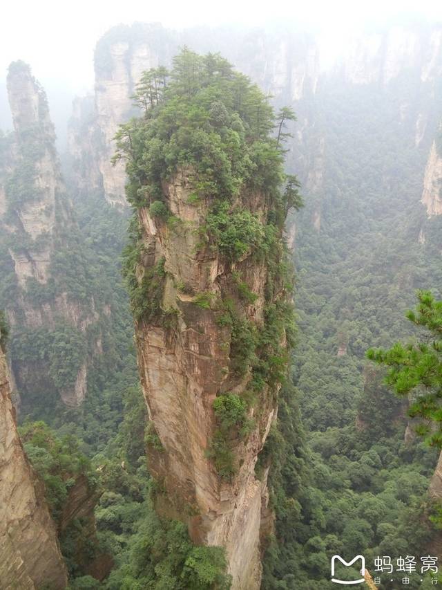 滨海森林公园路亚价格(导航滨海森林公园)