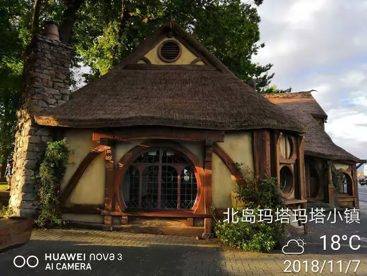 滨海森林公园路亚价格(导航滨海森林公园)