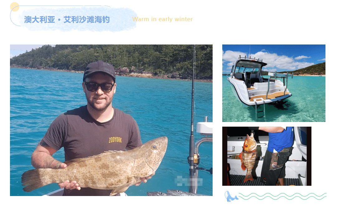 澳洲海钓主要钓哪种鱼(澳洲海钓主要钓哪种鱼类)