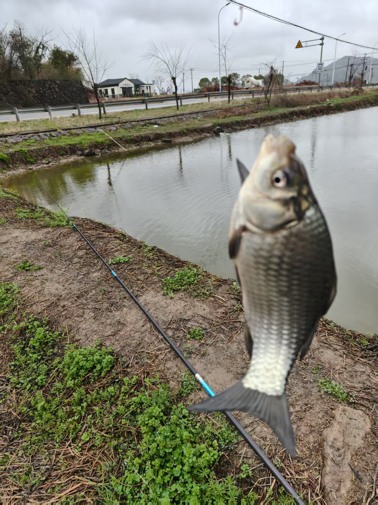 4月小雨钓鱼技巧(4月份雨天钓鱼技巧)
