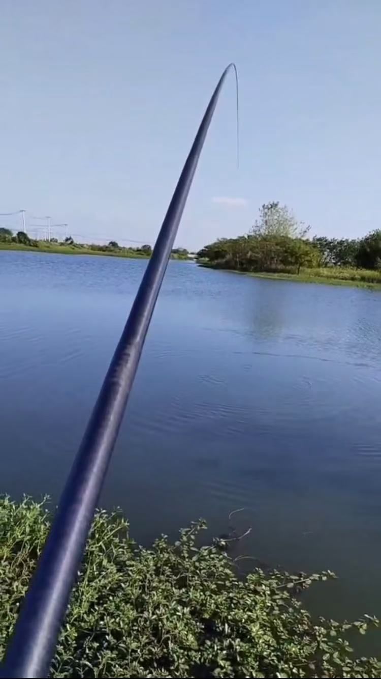 路亚钓连鱼(路亚钓鲢鱼教程)