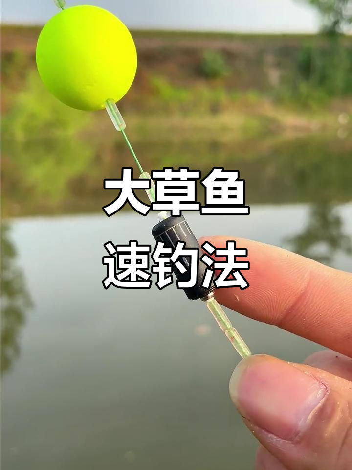 小崔钓草鱼技巧视频(崔秉亮钓草鱼技巧)
