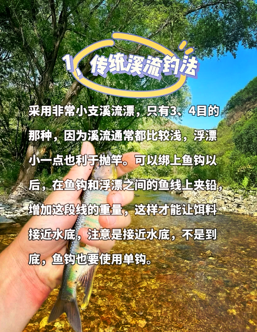 手竿传统钓鱼技巧(手竿的钓法)