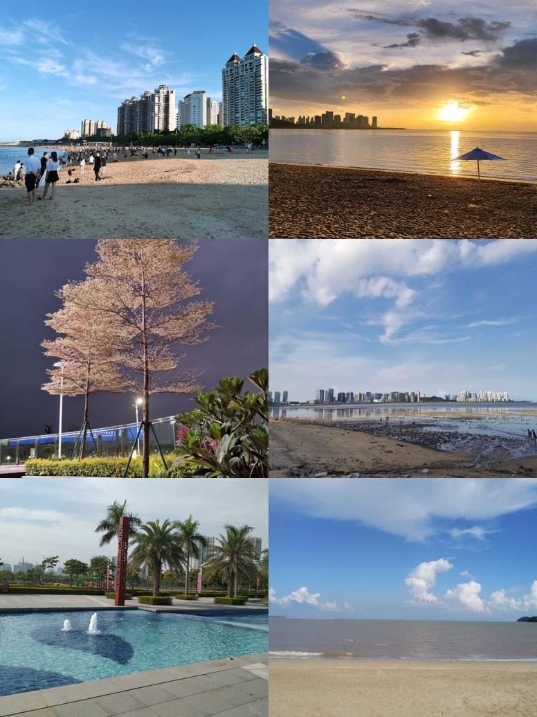 珠海唐家湾海钓地点(珠海唐家湾哪里可以赶海)