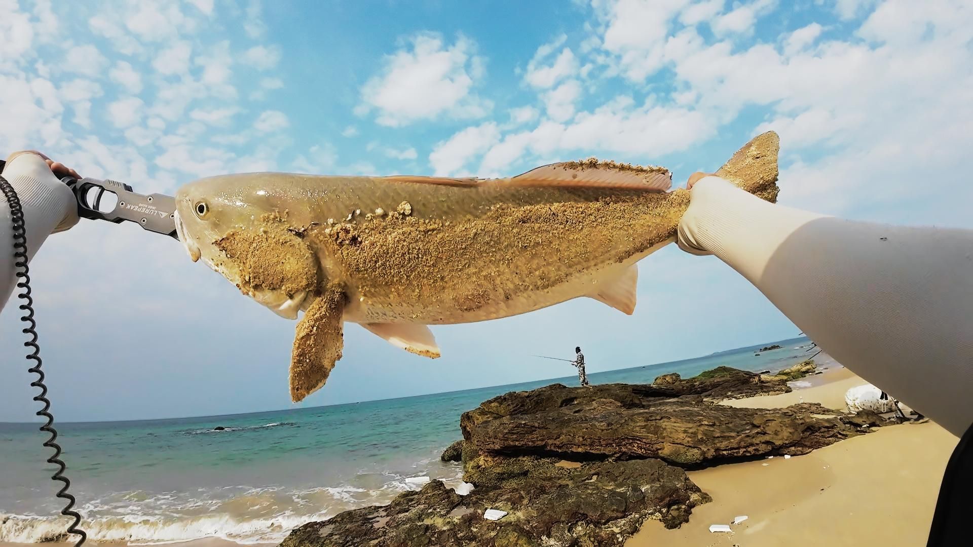 汕尾路亚海钓(汕尾海边钓鱼地点)