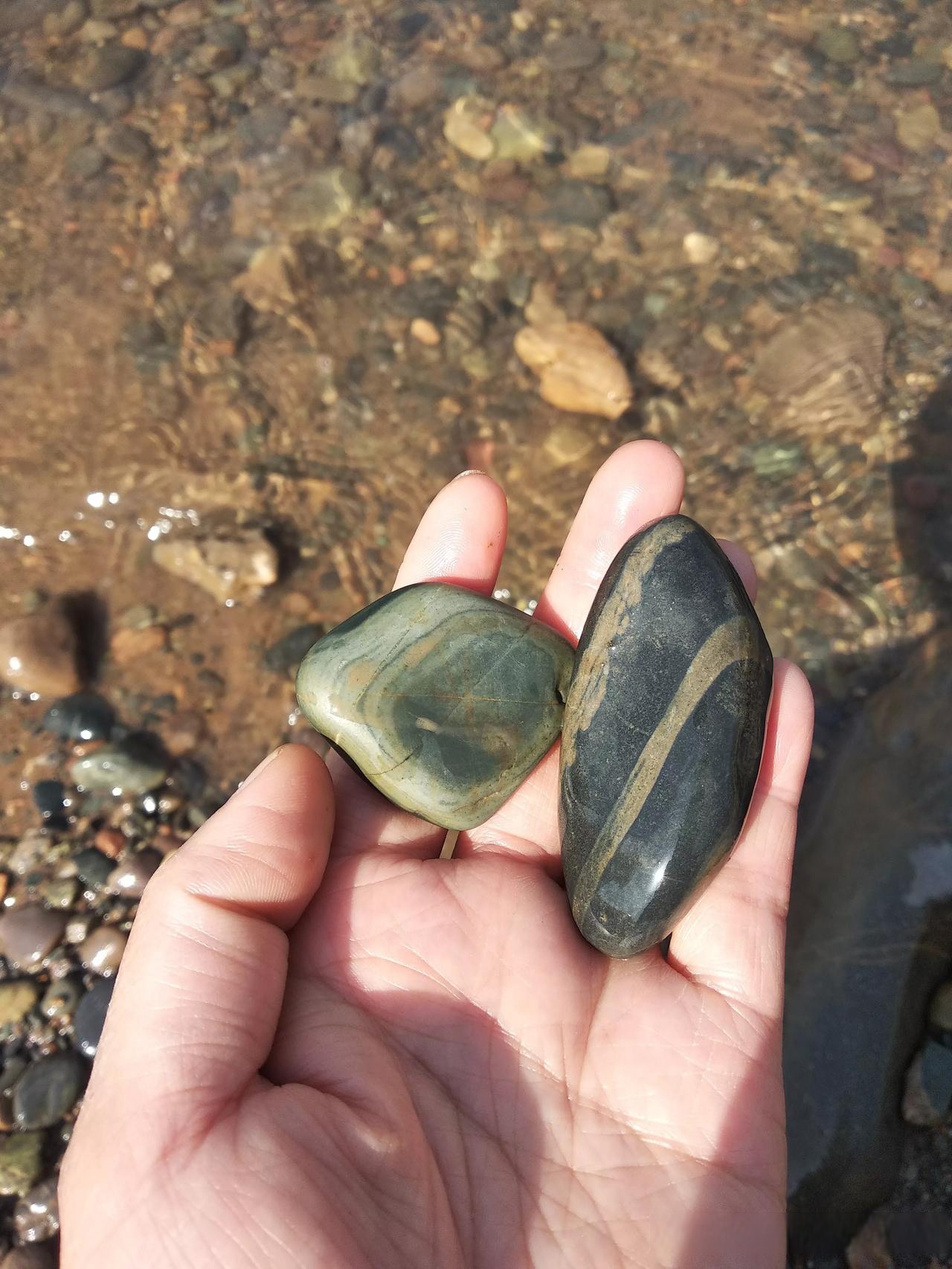 路亚钓淡水石头(路亚淡水可以钓什么鱼)