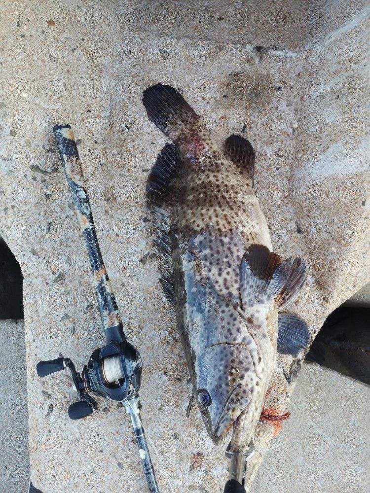 路亚竿钓什么海鱼(路亚海钓用什么竿子) 路亚竿钓什么海鱼(路亚海钓用什么竿子)