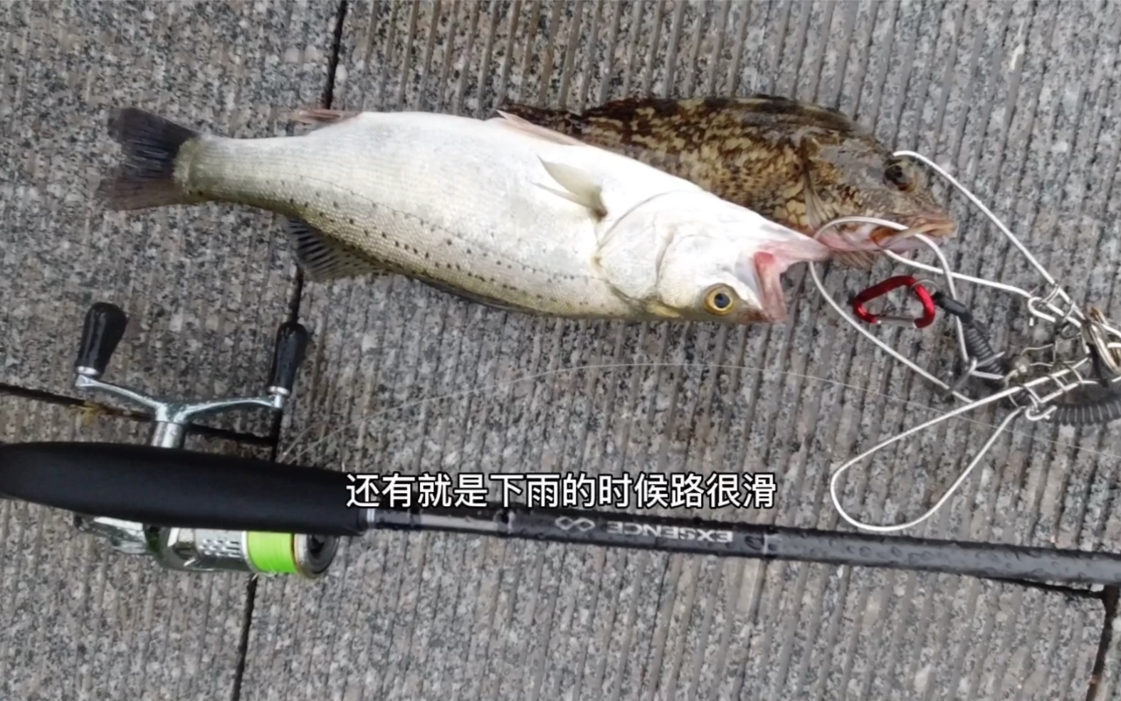 路亚竿钓什么海鱼(路亚海钓用什么竿子) 路亚竿钓什么海鱼(路亚海钓用什么竿子)